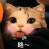 Avatar 2