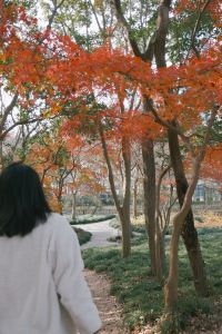 Yijiajiajianqiangyonggan 京町家懿造 クーポン