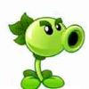 user-icon