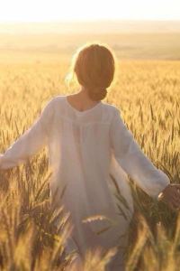 Xinyun 香格里拉大酒店優惠