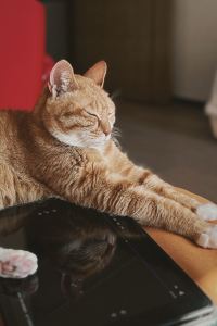 Lingyeyue ほとりのホテル Ban クーポン