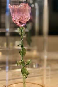 1360198**** 深圳星河麗思卡爾頓飯店優惠