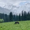 Avatar 2