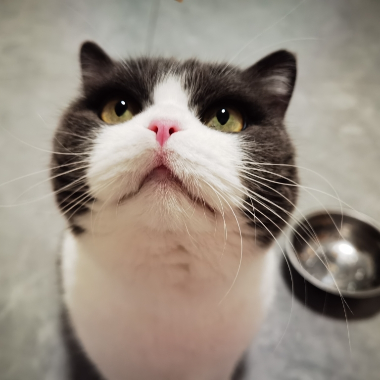 head-img