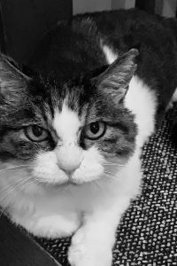 Huapiruzhu 新宿華盛頓酒店優惠