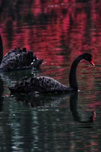 Yinjuancangtian 台山文華雅詩酒店優惠