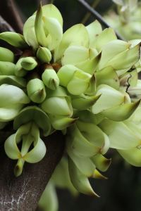 liming_1125 溫哥華交流飯店優惠