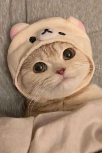 Yexiaomei SlowHouse 花喜民宿（西街鐘樓店）優惠