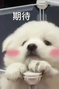 dreamstone**** 蘇黎世EMA之家套房酒店優惠