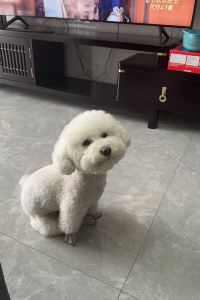 Huacaitoumini 佛山希爾頓花園飯店優惠