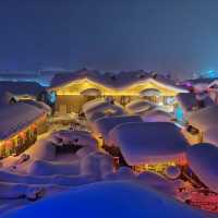 雪地飞鹰