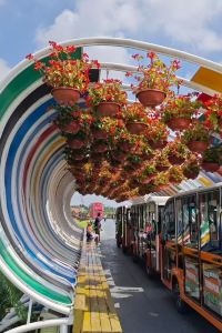 Daizhuolaomayiqikanzhongguo 杭州索菲特西湖大酒店優惠