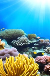 leochan2025 北國之宮優惠