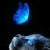 Avatar 2
