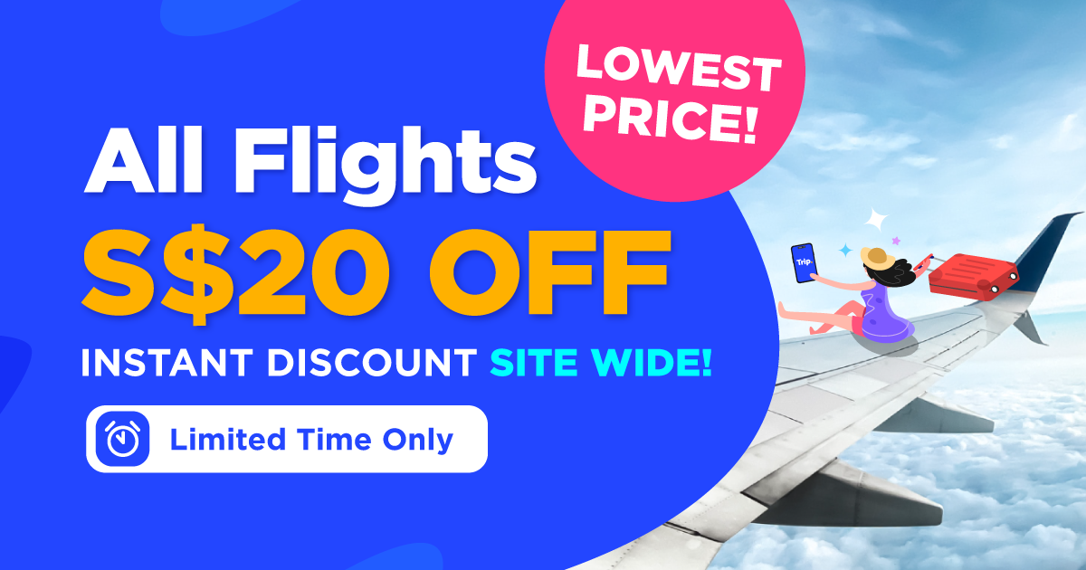 Instant Sitewide Flight Discounts 20 OFF Lowest Price!