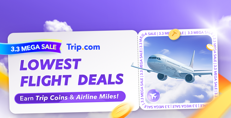1 for hotsell 1 flight deal