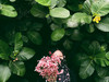 Athirah Amran