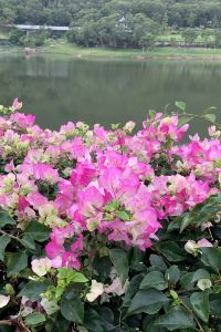 濕炒 濟州希爾公寓飯店優惠