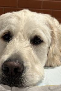 Weellie 承億文旅小承輕旅優惠