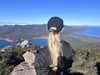 Tilley Travels