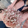 jidonggu