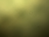 deleted__