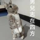 Mr. 俊