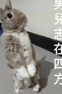Mr. 俊 札幌大通公園溫德姆花園優惠