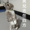 Mr. 俊