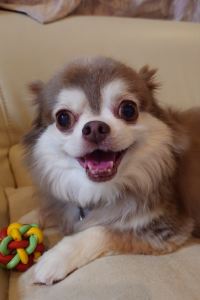 rikanon 芭達雅安凡尼度假飯店優惠