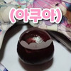 이마음 この心