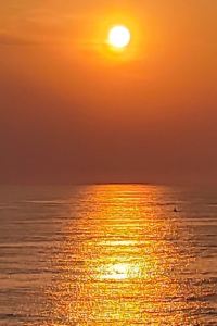 리뷰어 단양 사랑애 펜션 쿠폰