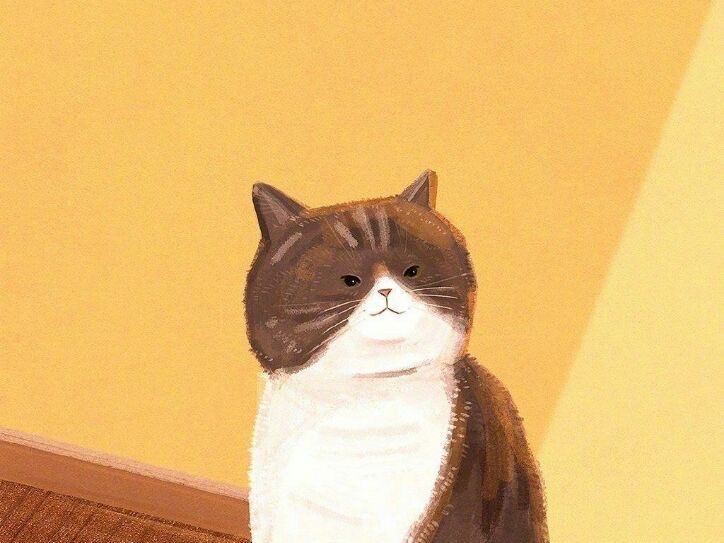 JSPYCR