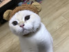 Yujinmama
