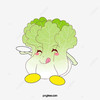 ชั้นชื่อผักกาด