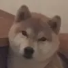 Avatar 3