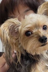 Evelyn的旅 高雄統茂大飯店優惠