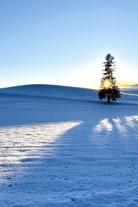 18 years old next year 康橋商旅（台南民生館）優惠