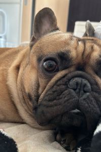 mixuki 淡路夢泉景 クーポン