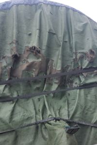 별해네 잼핑 홀리데이파크 삽교점 쿠폰