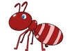 ANt.M