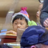 토리도