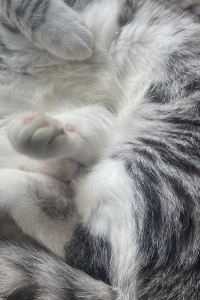 Poon Joe 百呈佳運飯店（珠海拱北口岸店）優惠