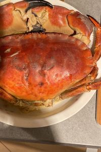 Misusing 越後湯沢温泉 本陣さくら亭 クーポン