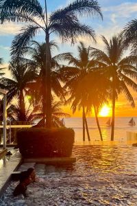 Yutaka & yvo 小岩天空之心飯店優惠