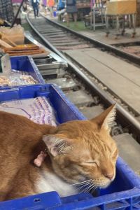 yuki.... 新加坡81酒店 - 梧槽 （Staycation Approved）優惠