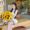 Grace_1
