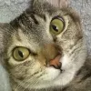 Avatar 1