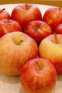 愛吃愛喝愛玩 機場航廈飯店優惠