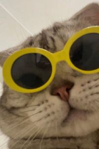 쭈꾸미도둑 グリーンハウス中野富士見町 クーポン